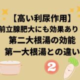 【第二大根湯の効能】高い利尿作用！前立腺肥大や膀胱炎にも効果あり！